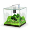 Kubus Qube Aquarium