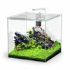 Kubus Qube Aquarium