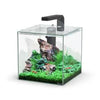 Kubus Qube Aquarium