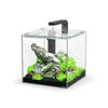 Kubus Qube Aquarium