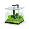Kubus Qube Aquarium