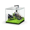 Kubus Qube Aquarium
