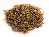 Freeze Dried Bloodworm