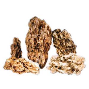 Natural Holey Rock/Dragon Rock