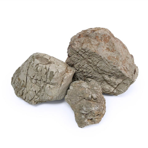 Natural Elephant Skin Rock