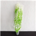 Katachi Decor Plants