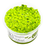 Tropica Floating Plants 1-2 Grow