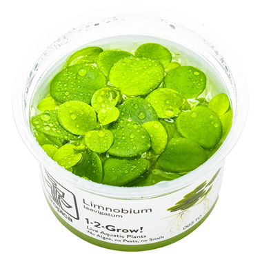 Tropica Floating Plants 1-2 Grow