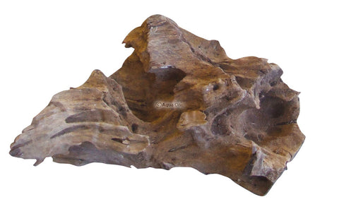 Mangrove Root Medium/Large