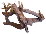 Mangrove Root Medium/Large