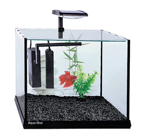 AquaOne Betta Oasis