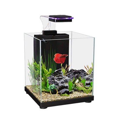 AquaOne Betta Sanctuary