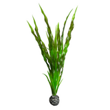 Katachi Decor Plants