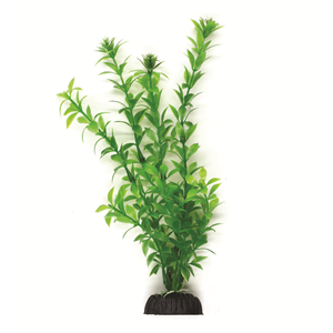 Aqua Scene Decor Plants