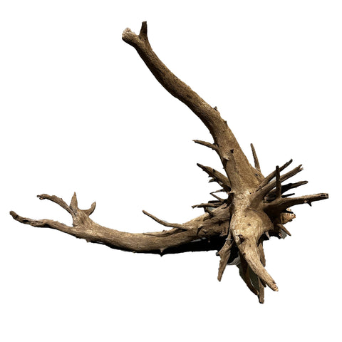 Corbo Stump XL