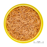JBL ProNovo Betta Insect Sticks 100ml