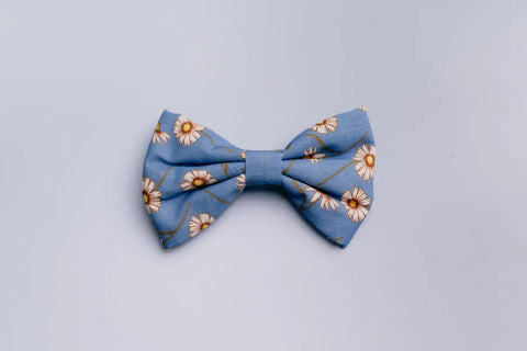 Salt Dog Bow Ties Medium/Large