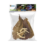 Natural Deco Packs