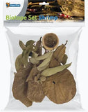 Natural Deco Packs