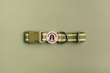 Salt Dog Organic Striped Collar