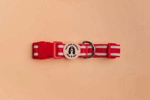 Salt Dog Organic Striped Collar