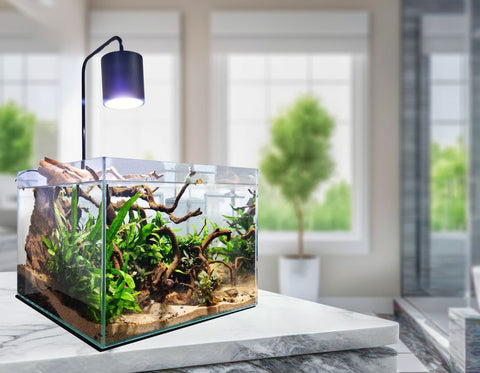 AquaOne OptiScape