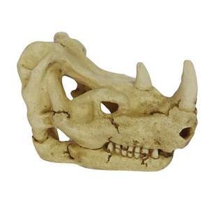 Hugo Kamishi Rhino Skull