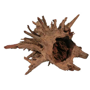 Corbo Catfish Root Wood