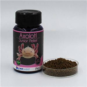 NT Labs Axolotl Pellet