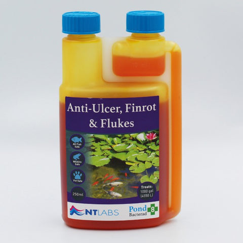 NT Labs Anti Ulcer, Finrot & Fluke